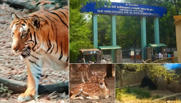 Rajiv-Gandhi-Zoological-Park-Pune-guide-1024x576