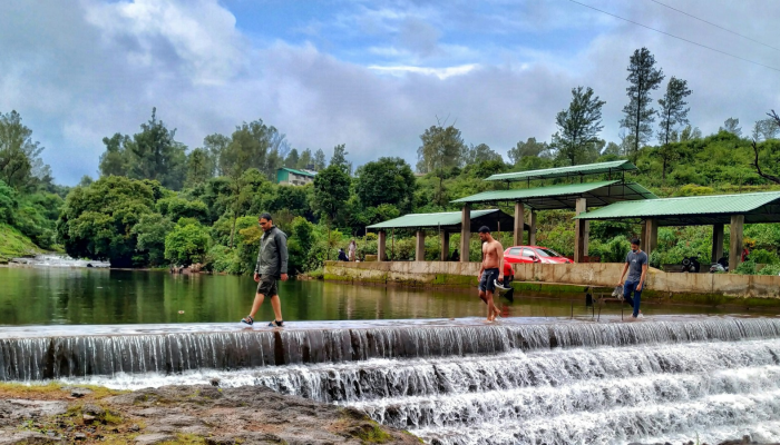 Untitled design (70)