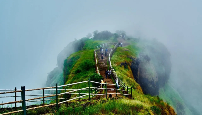 Untitled design (72)